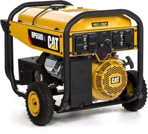 cat-rp-generator
